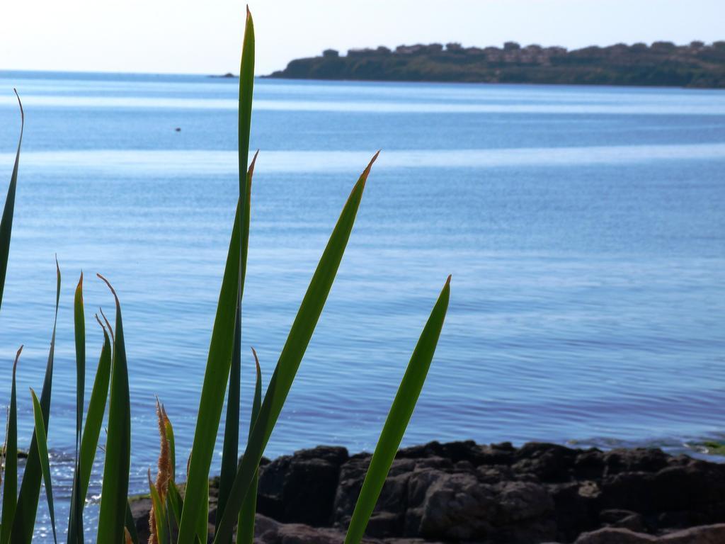 Sea View Apartments Sozopol Rum bild