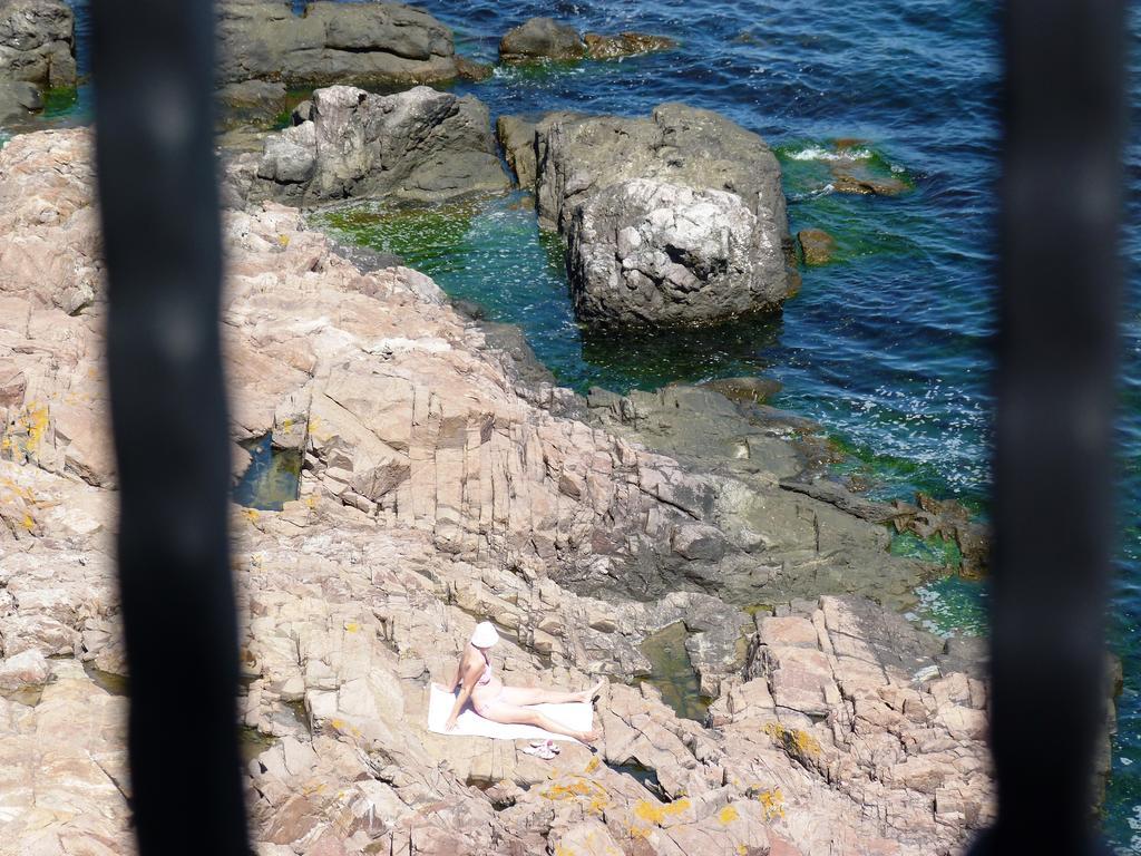 Sea View Apartments Sozopol Rum bild